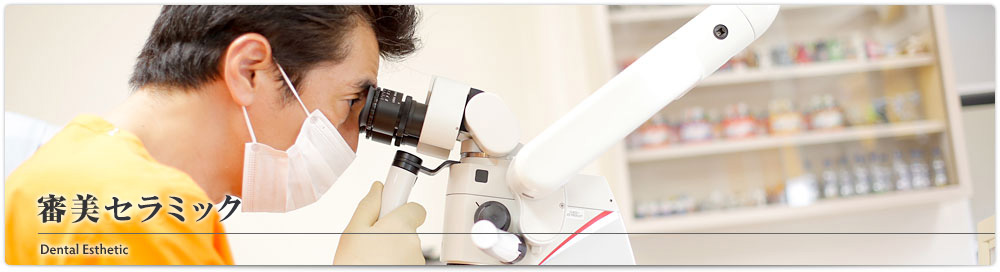 審美セラミック