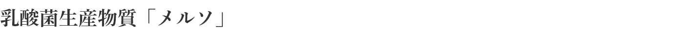 乳酸菌生産物質「メルソ」