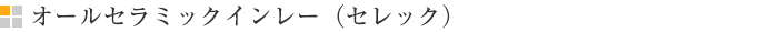オールセラミックインレー（セレック）
