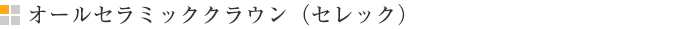 オールセラミッククラウン（セレック）