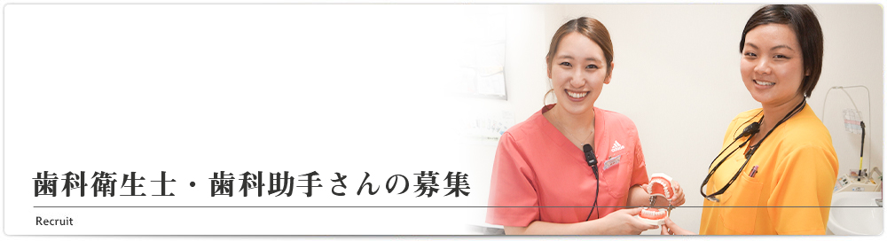 歯科衛生士・歯科助手さんの募集